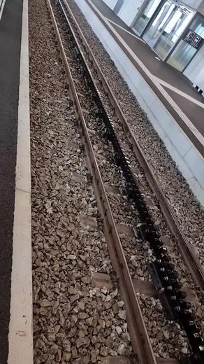 ‏The only cogwheel train in the world