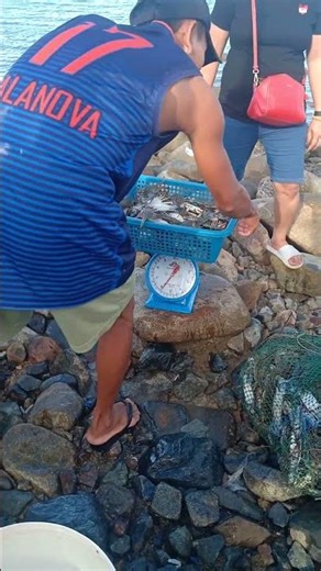 Concepcion Iloilo: Fresh Blue Crab Harvest! 🦀 Kilohan Action & Market Buzz!