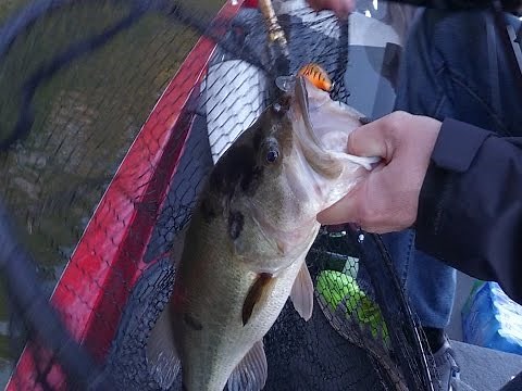 Bass Fishing Barren River Lake in the Late Fall