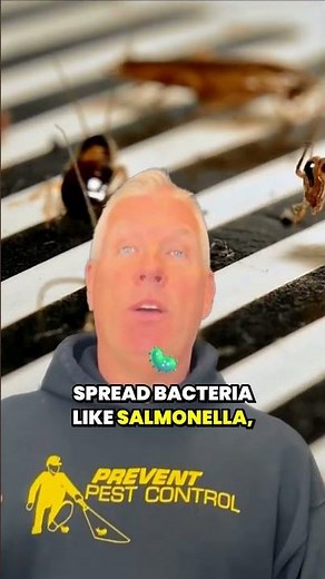 How Can Cockroaches Harm Humans?