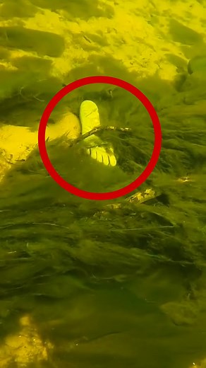 Finding strange stuff 😳 | D ALL MY D