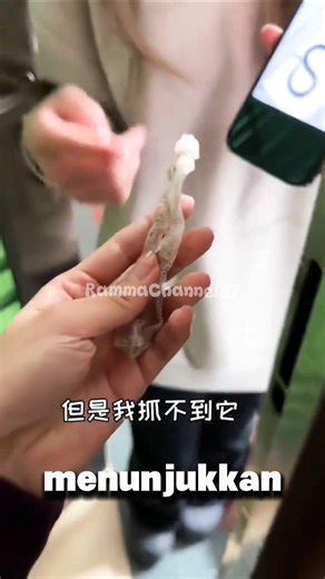 loli Menemukan Sisik Ular Dilantai Rumah.#shorts#kucing