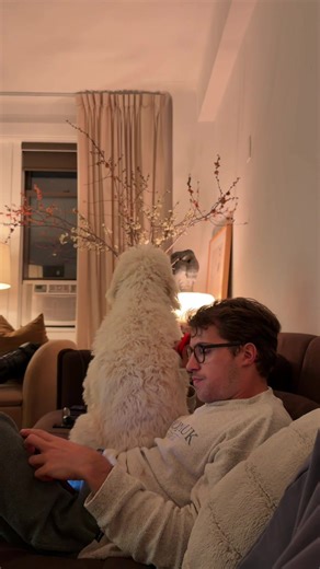 The sass @Jeff O’Donnell