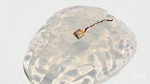 473K views · 7.4K reactions | Paralyzed monkeys regained control of...