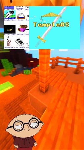 understanding cs on Instagram: "what is TempleOS? . . . . . #computerscience #programming #brainrot #python #code"