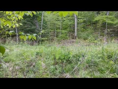 Homemade towable backhoe in action!
