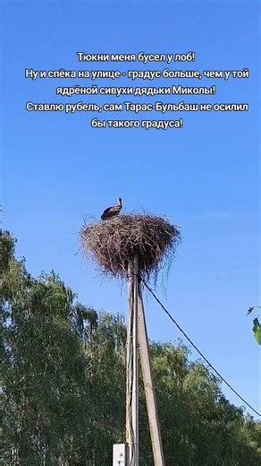 #лето #жара #вёска