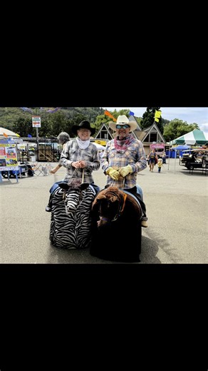 12K views · 73 reactions | So much to see and do at the Douglas County Fair! | Douglas County Fair | Facebook