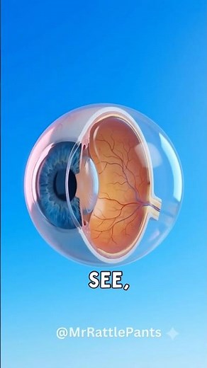 Why Your Eyes See Floating Spots When You Look at the Sky