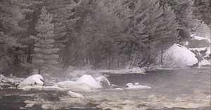 Nature: Penobscot River