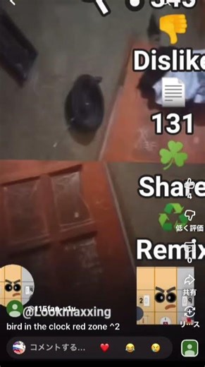 Bird in the clock red zone^3