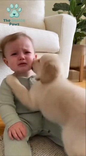 Crying Baby Gets Comforted by a Puppy — Pure Love!