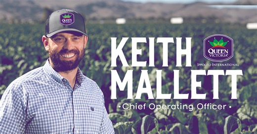 Ippolito International Names Keith Mallett as Chief Operating Officer; Joel Ippolito Comments