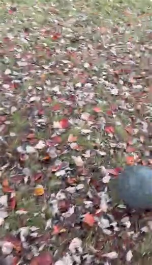 Owen, Penelope and Lizzie | Barbara Duke Killough