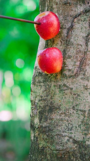 52K views · 2.4K reactions | I Shot My Hero... My Trust Was Zero!  | Lily Meow | Facebook