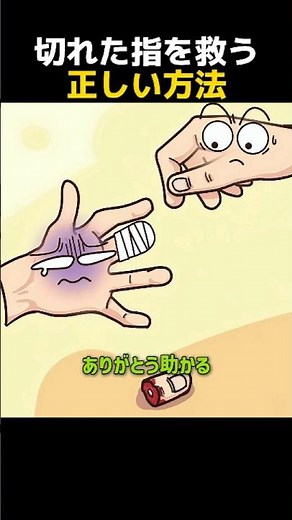 切れた指を救う正しい方法