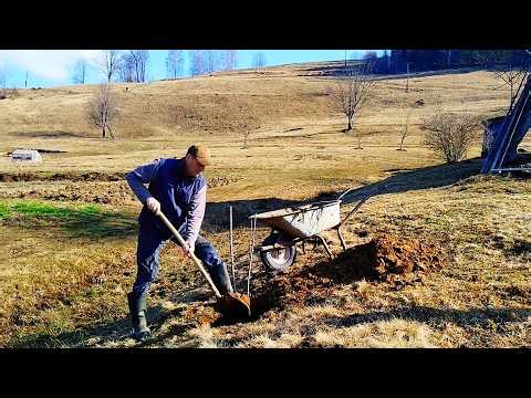 Planting 15 Raspberry Bushes and 16 Fruit Trees | Spring Homestead Work