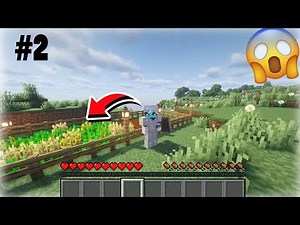I Built a Small Farm in Minecraft Survival! #2