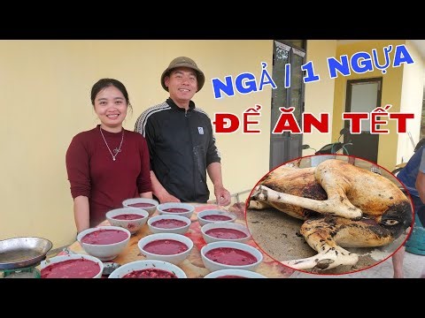 TẾT VÙNG CAO / CHUNG NHAU M.Ổ NGỰA LÀM CỖ MỜI BÀ CON TRONG BẢN ĂN TẤT NIÊN !