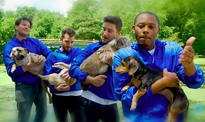 This hilarious love song slow jam made for all men who love their dogs will make your day!