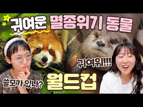 귀여움💖만 보고 골라야 하는 멸종위기 동물 월드컵