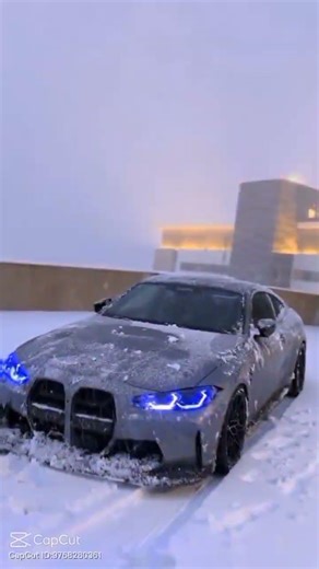 in loving memory of coco the dog