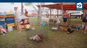 10K views · 162 reactions | Free community barbecues are being held across the city to help lift morale and bring the city together. The Barbie in the Burbs are family friendly events that will feature live entertainment, children’s activities, food trucks and a free barbecue. The next two events will run from 3-6pm on the following dates: 9 March – Townsville Recreational Boat Park 10 March – Corcoran Park | Townsville City Council | Facebook