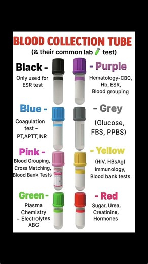 Blood Collection Tube Colors & Their Uses | Blood Test Tube Guide