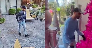 Victims across Texas connect in search of thieves posing as tree trimmers