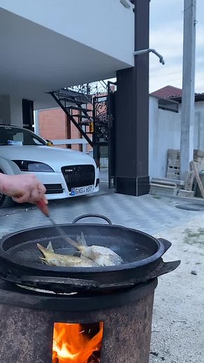 Zeus@Officiale on TikTok