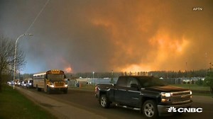 50K views · 179 reactions | LATEST VIDEO: Wildfires have ravaged the...