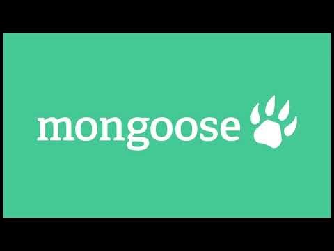 Mongoose Slate Integration Overview