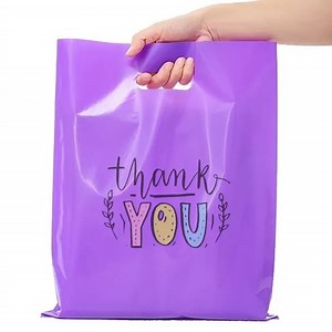 [Hot Item] Plastic Packaging Bag with Die Cut Punching Patch Handle
