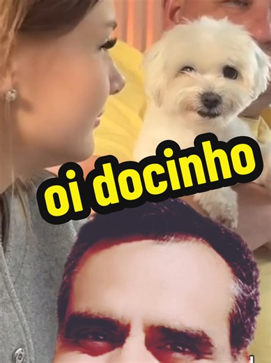 Cachorro conquistando gatinha no restaurante - vídeo engraçado