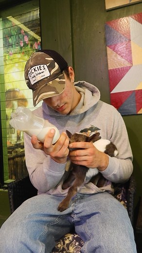 Bottle feed baby goats with me! #southcarolina #sc #goats #babygoats #petgoat #nigeriandwarfgoat #littlegoat #goatfeeding #bottlefeeding #goatsofinstagram #goats🐐 #goatfarm #feedinganimals | Goat Daddy's Farm