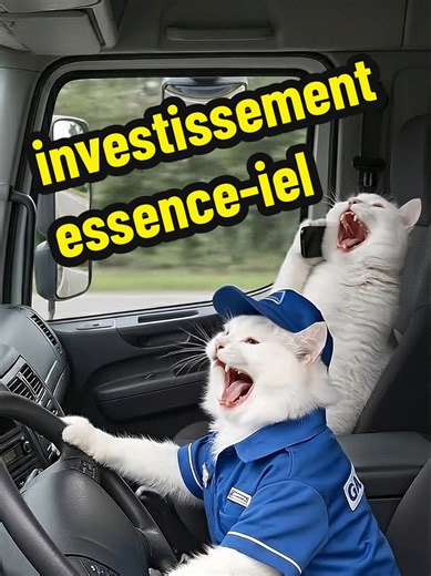 Je suis tranquillement au travail quand mon chat Choupette m’appelle pour m’annoncer qu’elle a fait un investissement. 📞🐾 Sur le moment je me dis : incroyable, mon animal de compagnie gère mieux son argent que moi. Mais connaissant Choupette… j’ai quand même un léger doute. Parce qu’avec ce chat, chaque bonne nouvelle cache souvent une catastrophe. Et quand je rentre à la maison… je comprends que son investissement était une très mauvaise idée. Bon au moins, avec un animal de compagnie aussi d