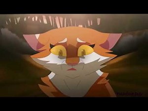 Mapleshade//Warrior Cats