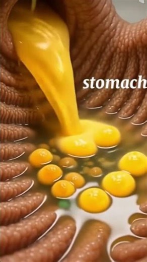 Ginger's Internal Impact: A Holistic View