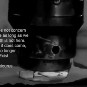 2.3K views · 99 reactions | Let's Steal Some Memes on Reels | Facebook