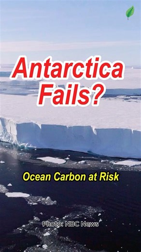Antarctica’s Carbon Sink Is Failing #ClimateChange #Antarctica #CarbonSink