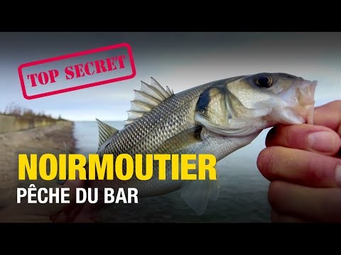 Quand rien ne marche je pêche avec ça / Technique "secrète" en bord de mer