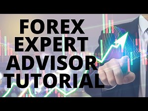 Forex Expert Advisor Tutorial: The Reality