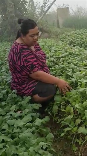 3.3K views | Rural Rising Philippines on Reels | Facebook