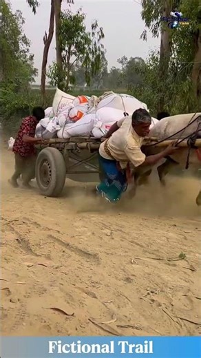 Teamwork on the Dirt Road: Pushing a Heavy Cart Together
