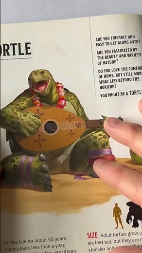How to pick a DnD race - Are you a Tortle ?