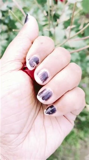 Red Rose blooming in Hand🌹#shortsviral