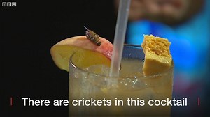 What's the future for our food? Could protein come from insects, and could more food be grown in tunnels? | BBC London