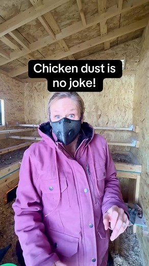 Best Mask for Cleaning Chicken Coop Safely