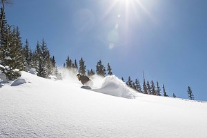 13K views · 150 reactions | The wait is over. Turn up the volume....