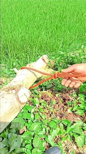 Only Smart People Know This Rope Knot Trick!